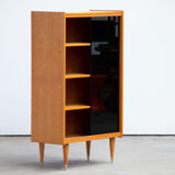 Vintage scandinavian library 1960