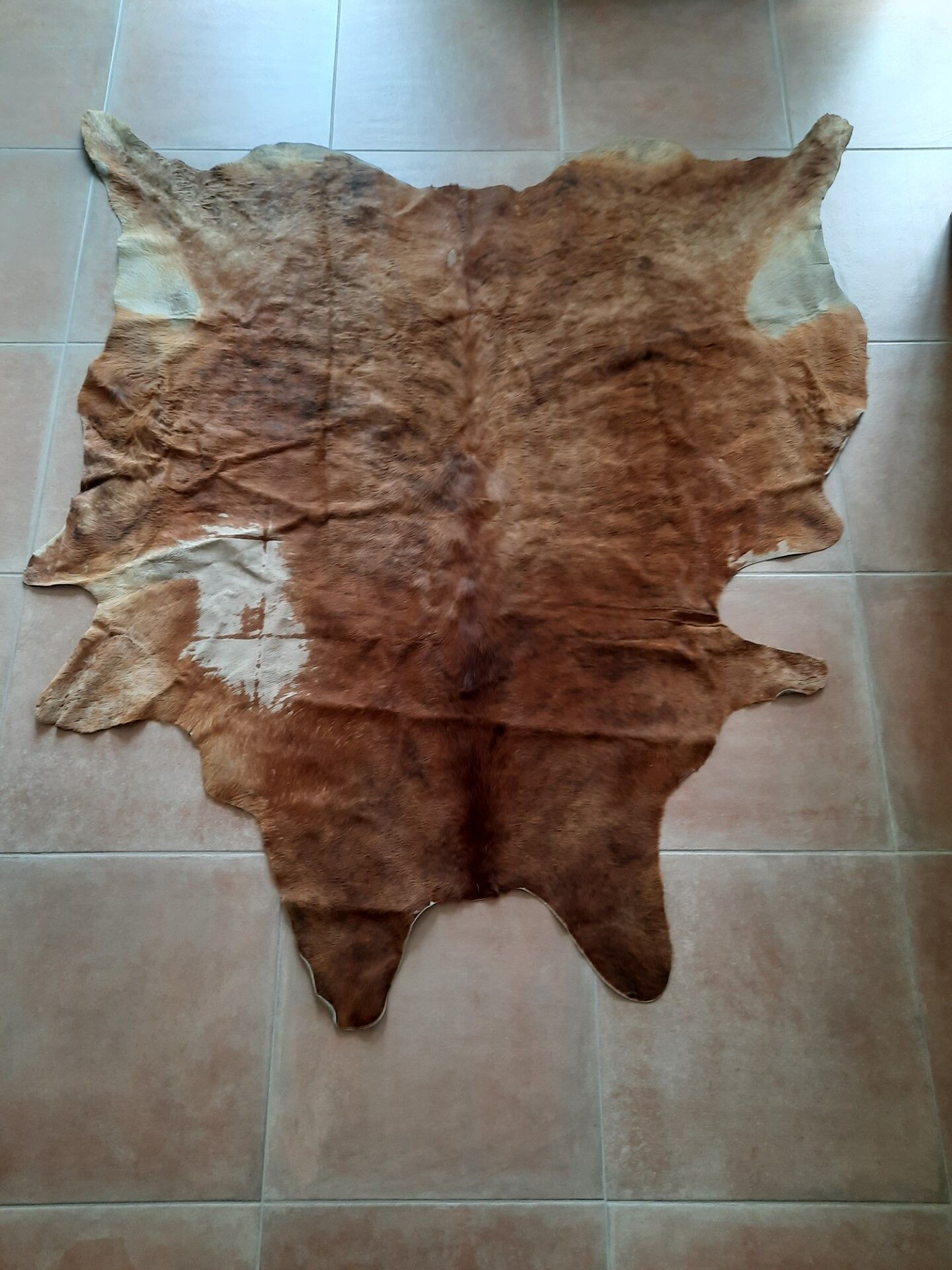 Cowhide carpet 230/190