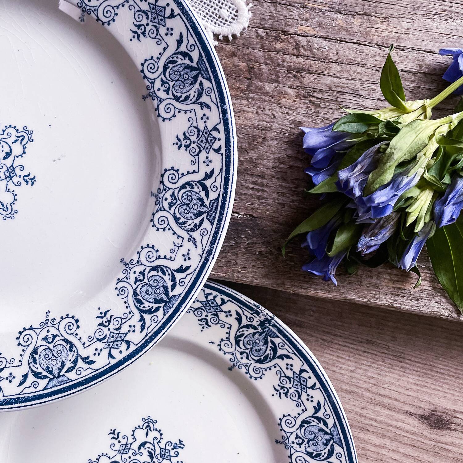 Assiettes terre de fer - modèle régence