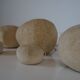 Moon Rock Andre Cazenave 1970 Paris Workshop A Signed Stone Lamp