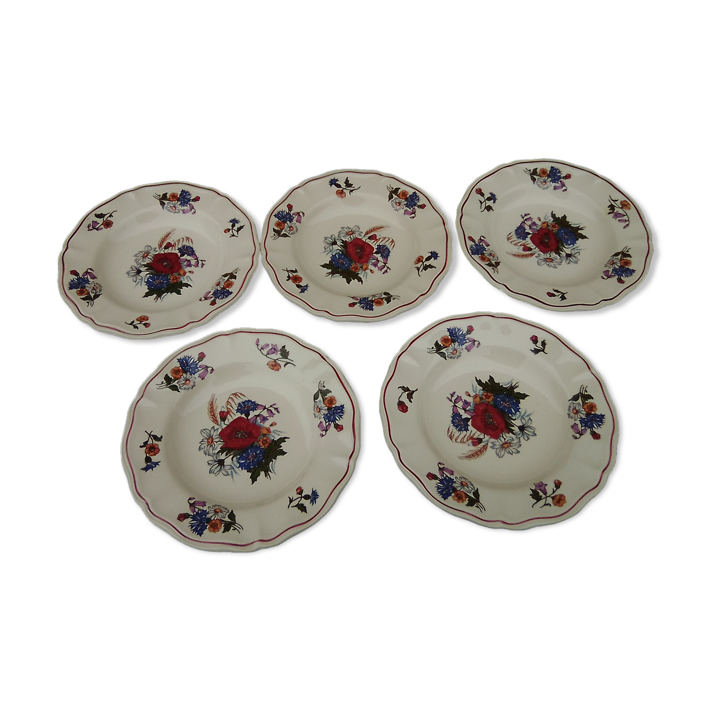 5 hollow plates in Sarreguemines earthenware model Agreste diam 22.5 cm