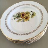 6 gien earthenware dessert plates