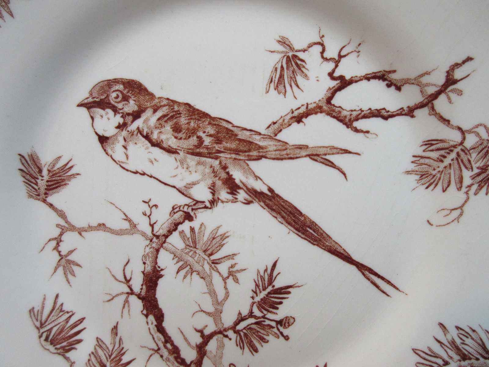 GIEN Provençal style dessert plate in brown: Swallow on a pine branch