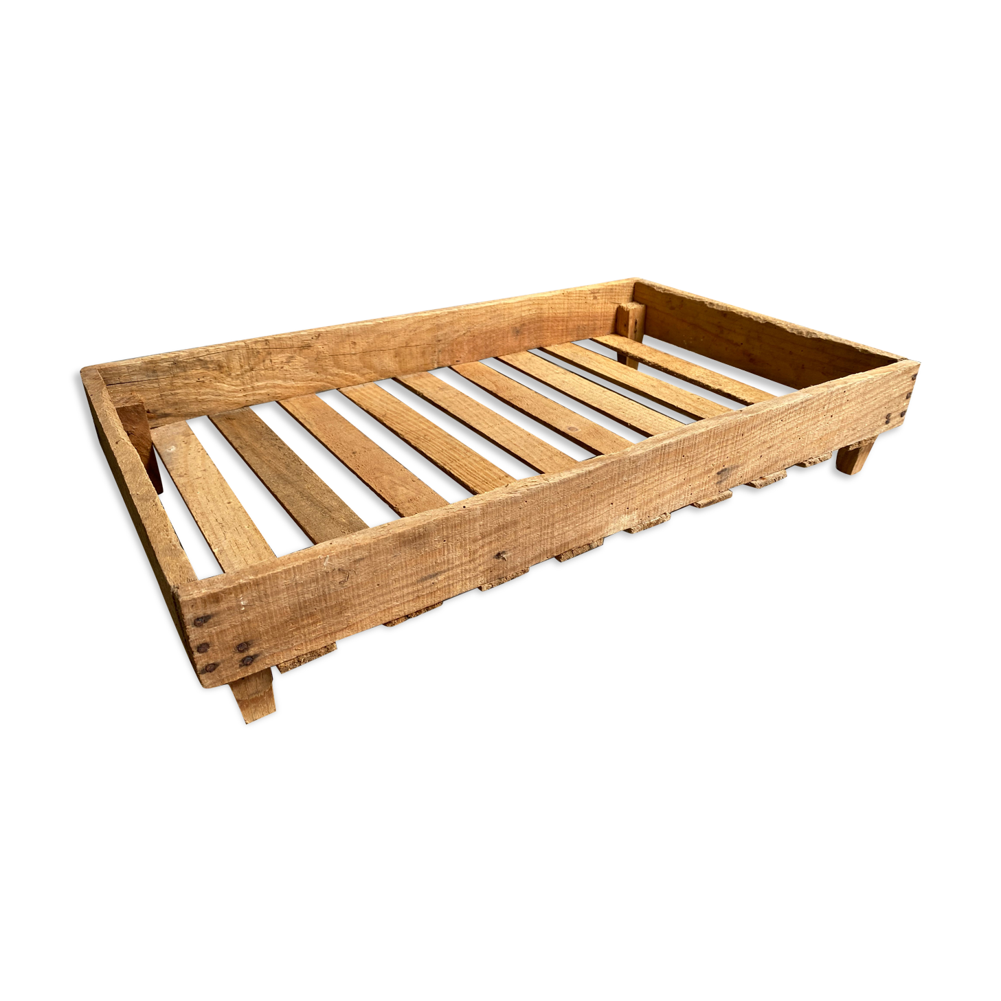 Market gardener tray