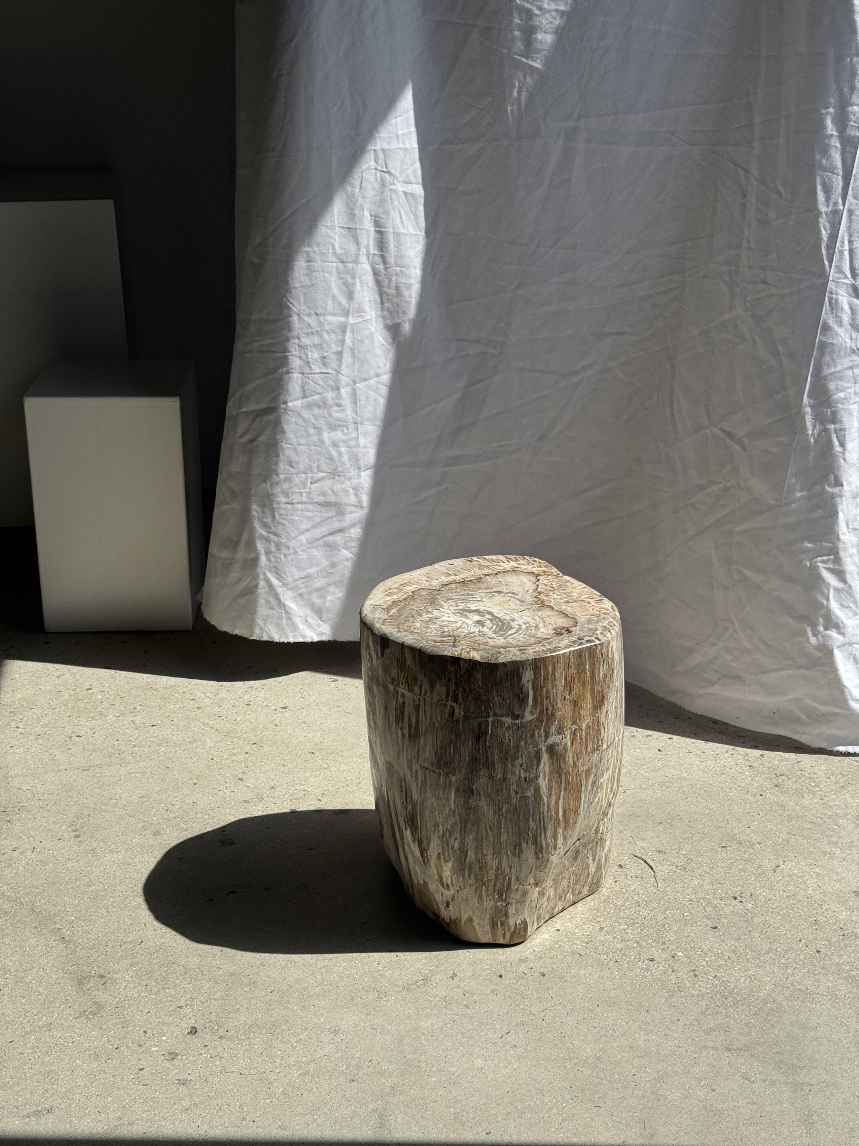 Very large white and grey petrified wood side table H45 D39 - 334