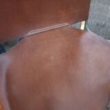 Fauteuil lounge Artifort F444 Pierre Paulin