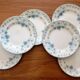 Set of 6 iron earth dessert plates Choisy le Roi model Cyclamen