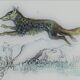 Original zoological plate " Caracal - Serval - Ocelot - &c... " Buffon (1836)