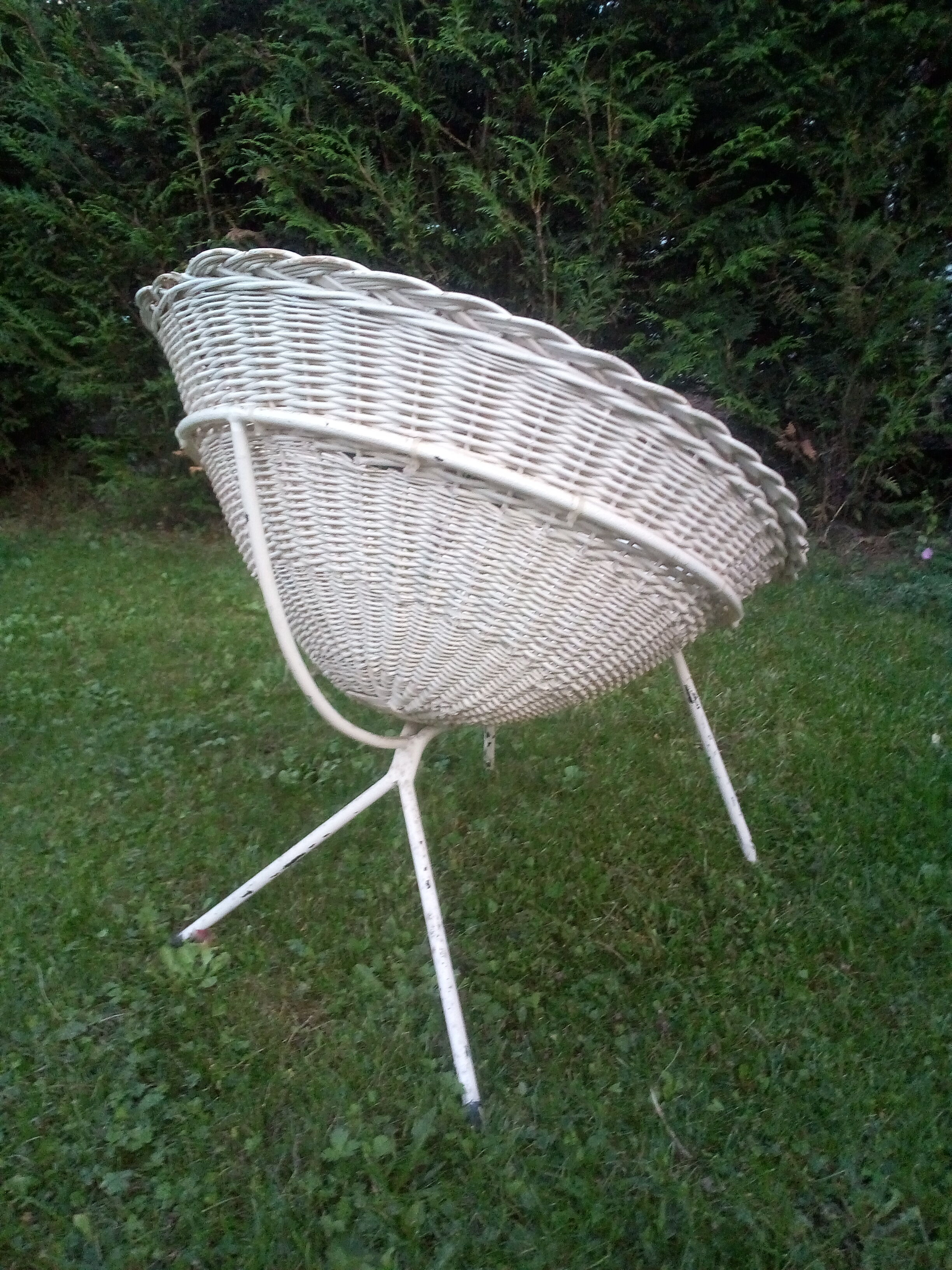 Rattan shell chair