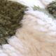 Contemporary Green and White Rug - 352 x 254 cm