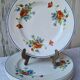 Salins poppy 5 flat plates
