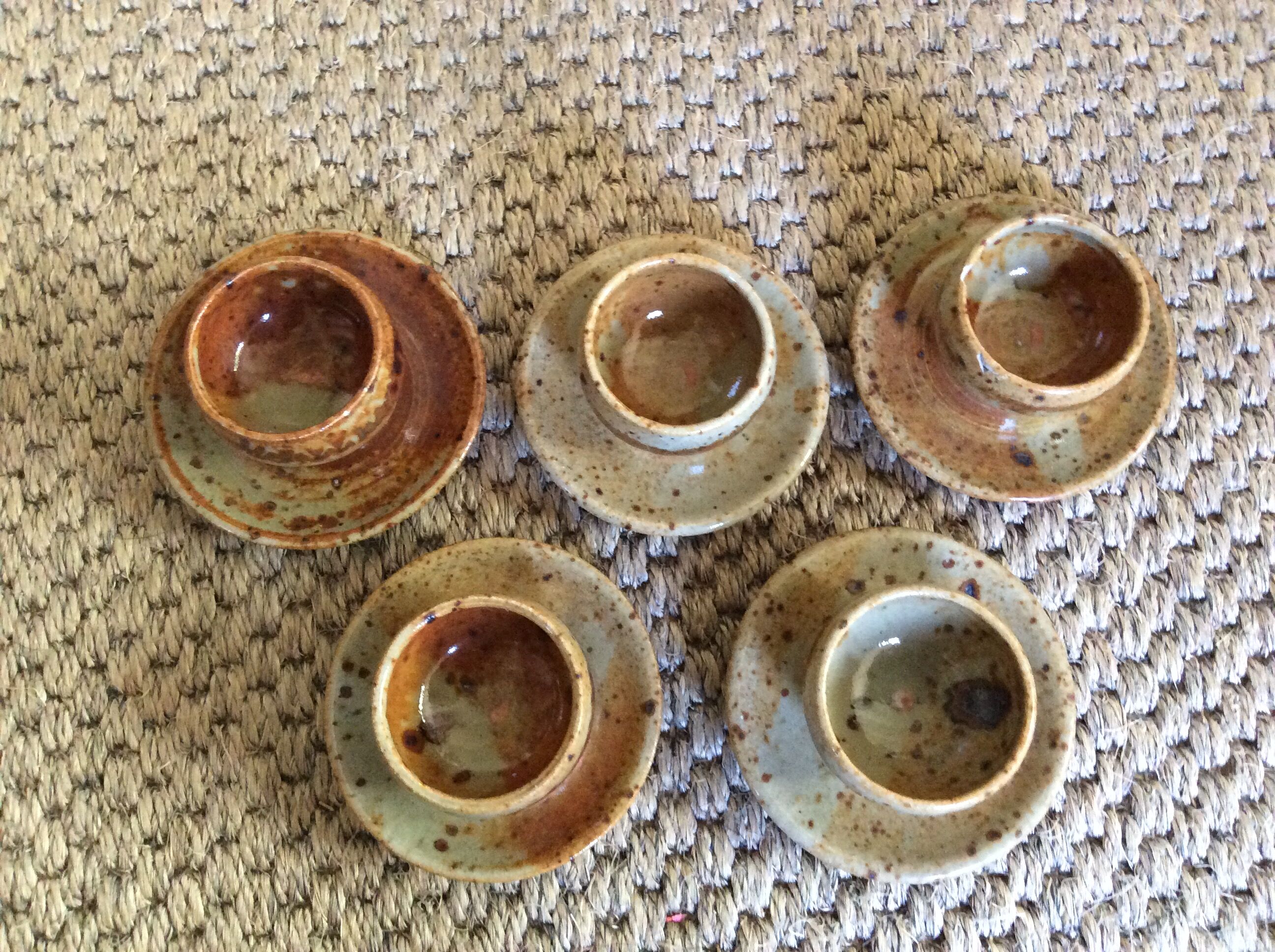 Series of 5 cockroaches