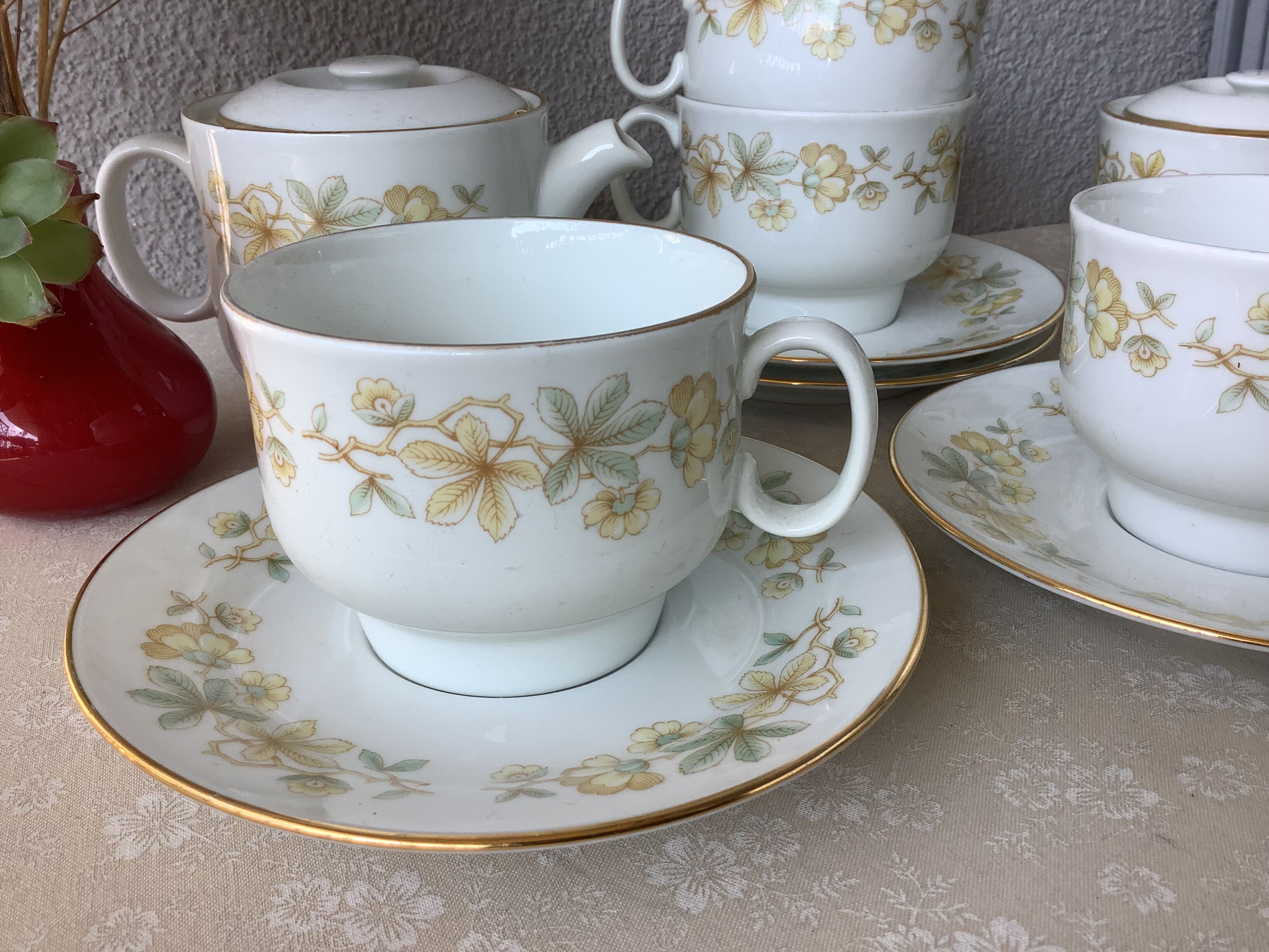 Richard Ginori Italy fine porcelain tea cups