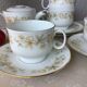 Richard Ginori Italy fine porcelain tea cups