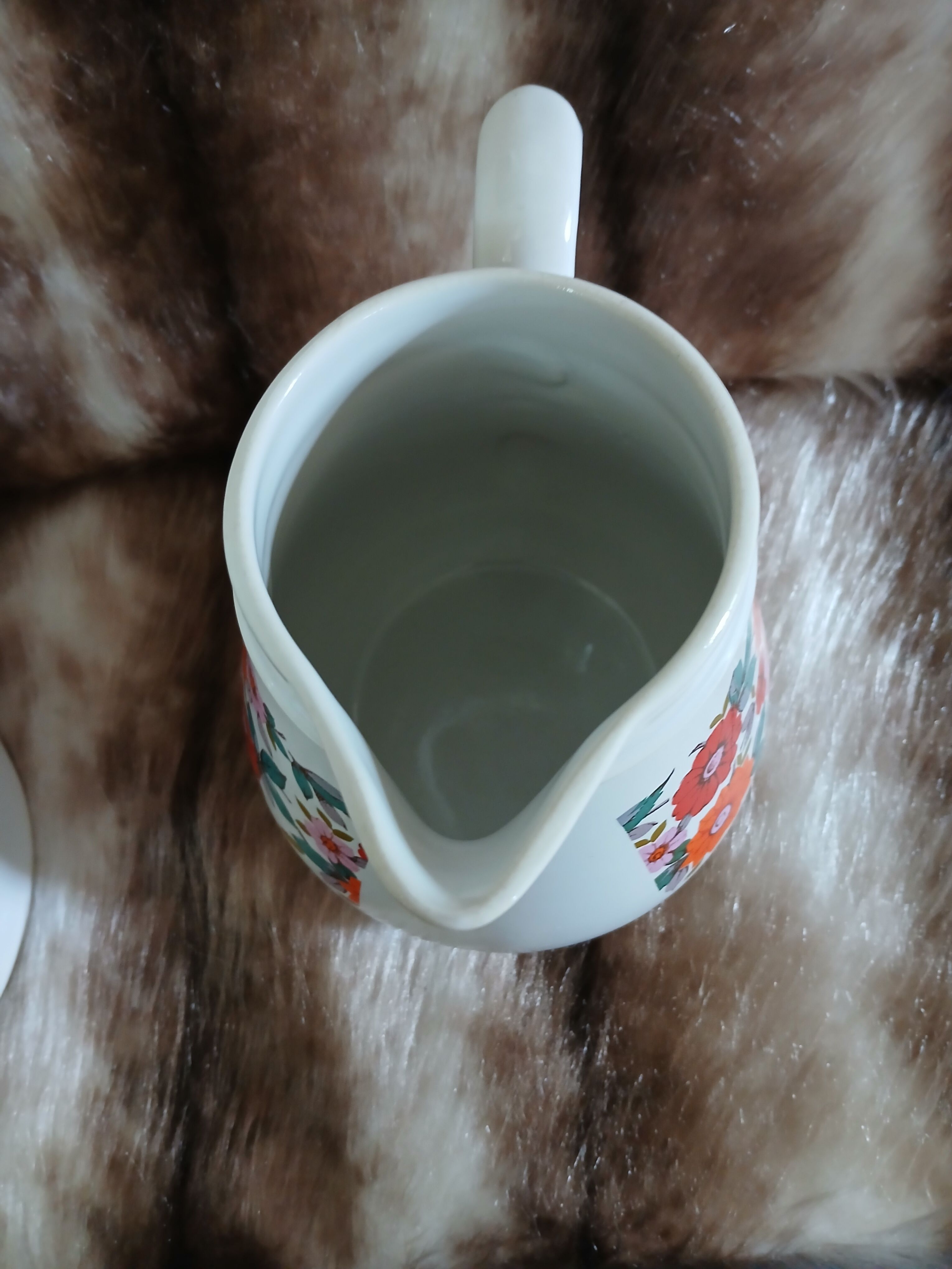 Vintage coffee pot + milk jug
