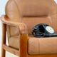 Vintage living room set – 2-seater sofa & cognac leather armchair