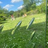 Mirror of the Marly brothers in Bordeaux