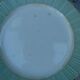 6 Vintage Celadon Plates by Villeroy & Boch from the 1950s