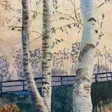 20th century undergrowth landscape