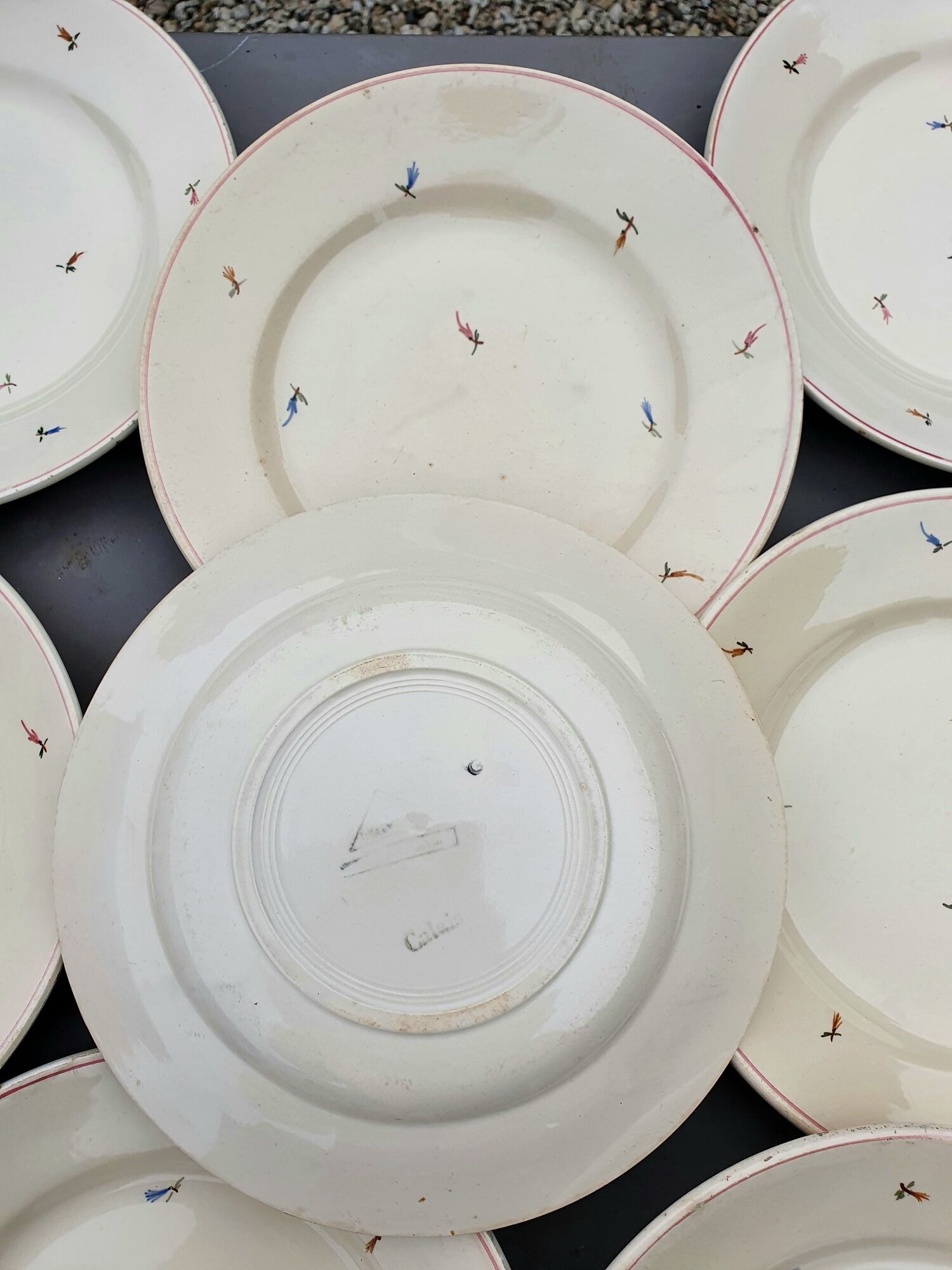 8 flat plates with earthenware seedings of multicolored florets