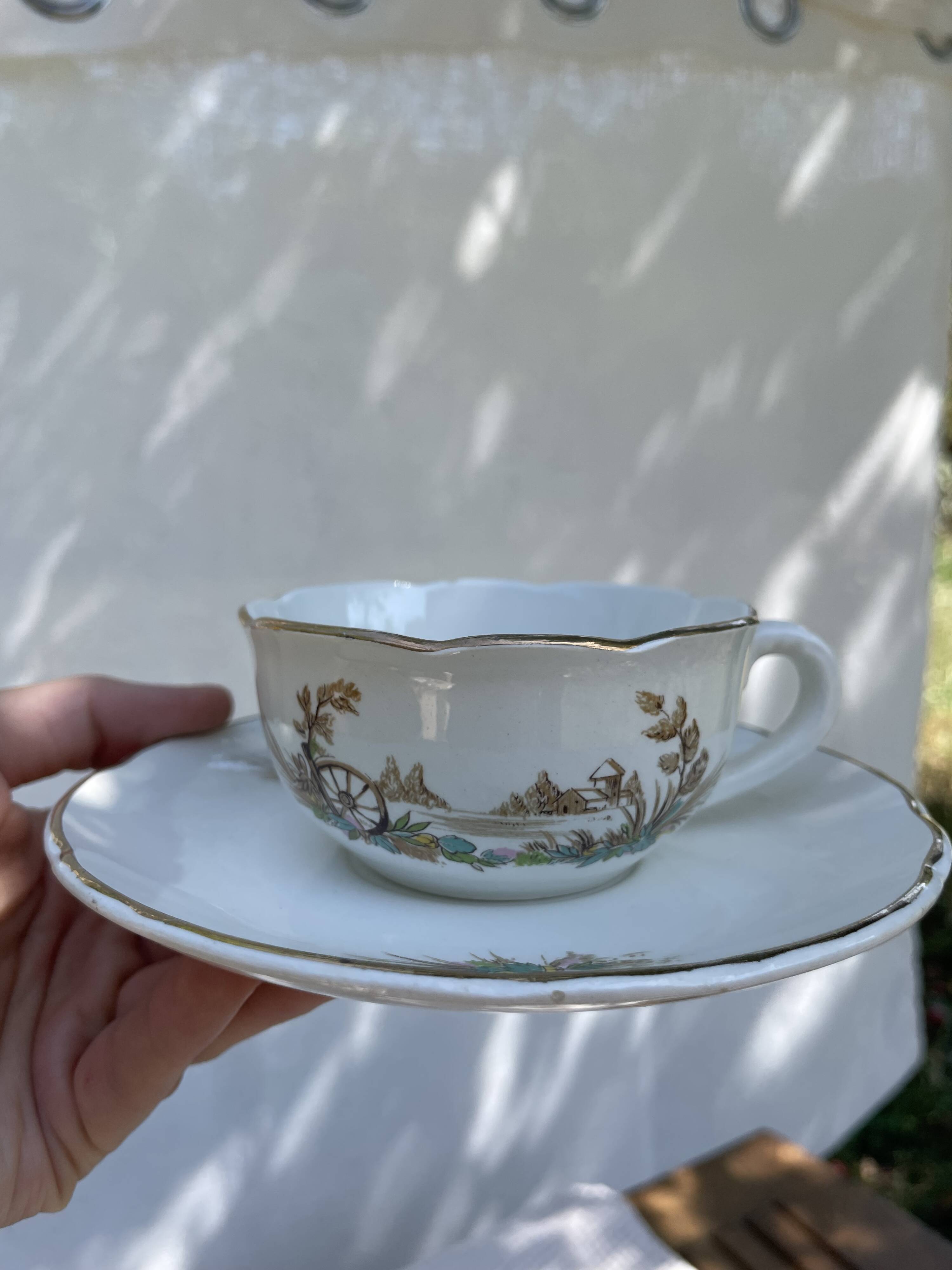Vintage set of 5 porcelain plates and 5 cups – Digoin Sarreguemines