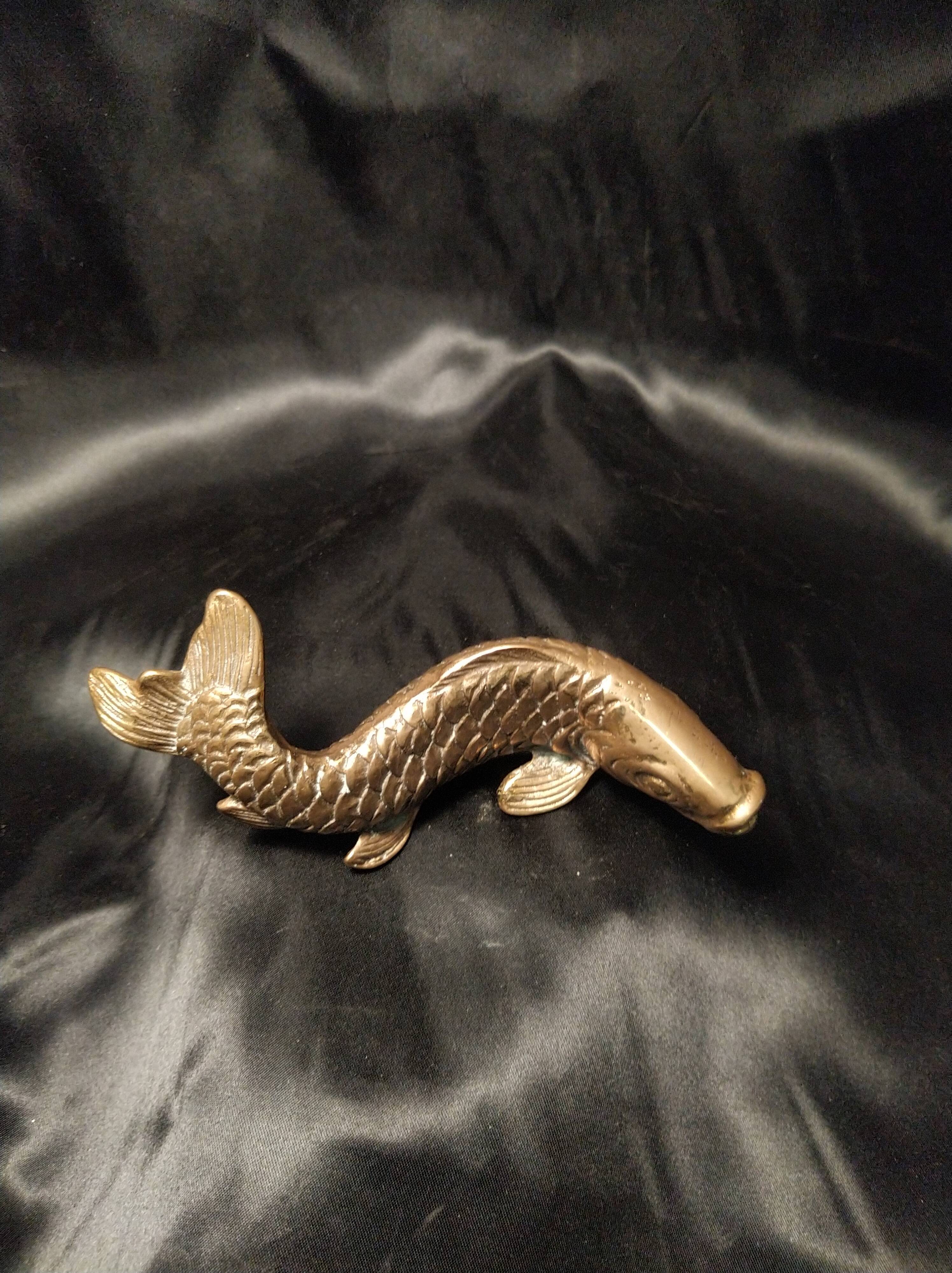 Bronze koi carp fish