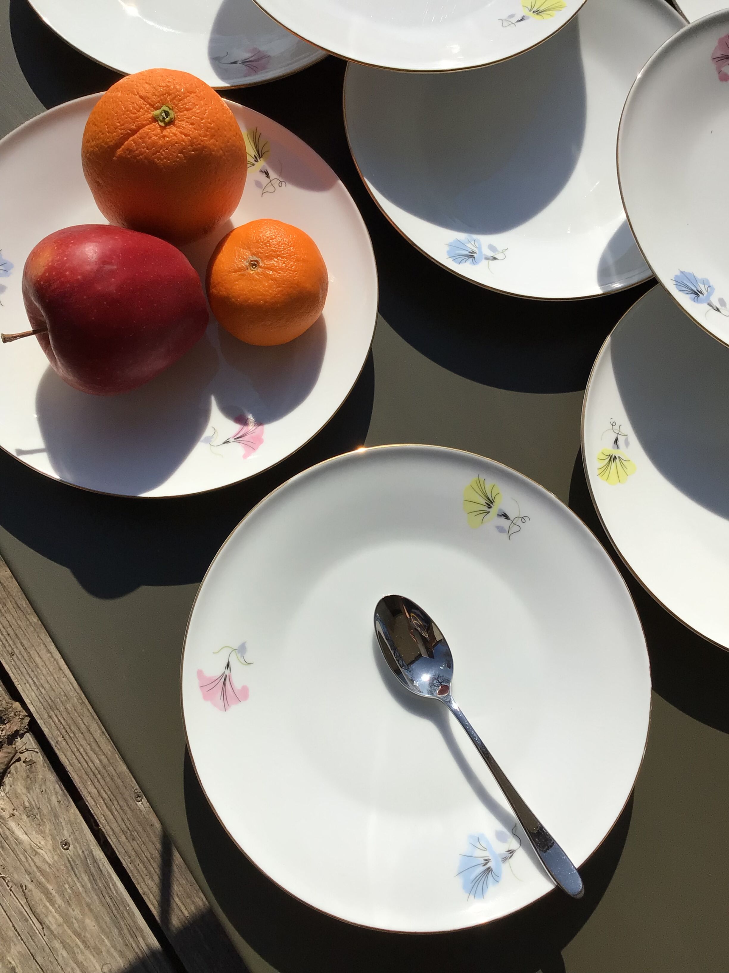 10 plates dessert porcelain decoration flowers 50's melitta