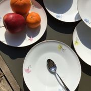 10 plates dessert porcelain decoration flowers 50's melitta