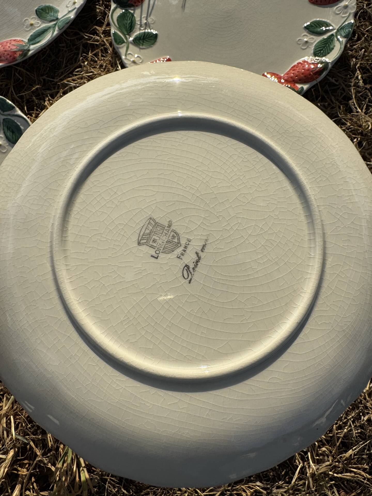 Longchamp antique strawberry barbotine plates