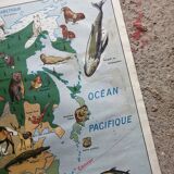 Vintage school map mdi North America-Asia Wildlife