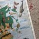 Vintage school map mdi North America-Asia Wildlife