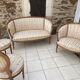 Salon soie et bois style Louis XV