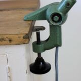 Lumina articulated lamp