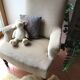 Napoleon lll armchair