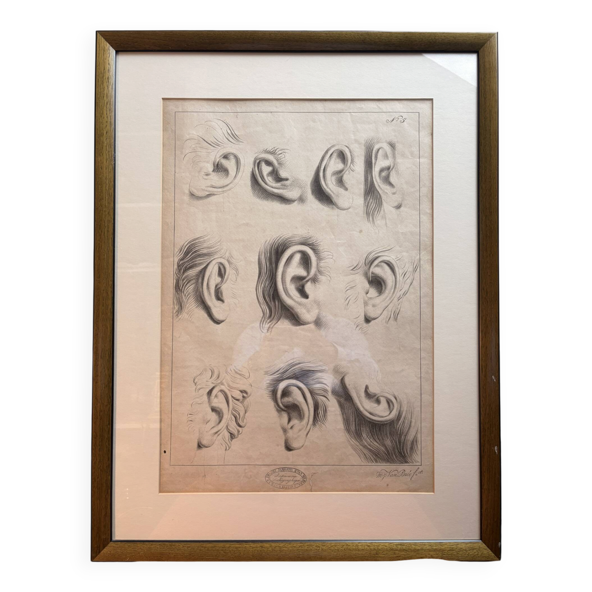 Old Print Engraving 19th Century Framed Academic Study Ear Van Bree