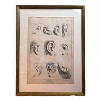 Old Print Engraving 19th Century Framed Academic Study Ear Van Bree