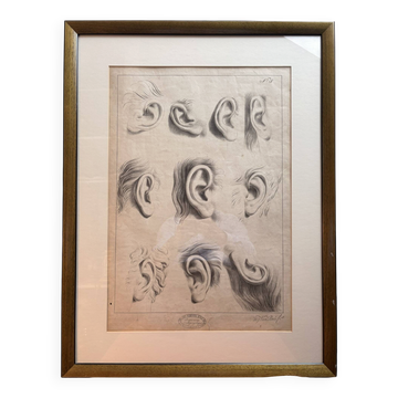 Old Print Engraving 19th Century Framed Academic Study Ear Van Bree