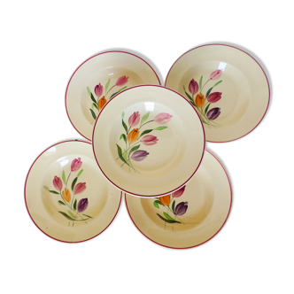 5 assiettes creuses de Longchamp modèle Tulipes 210747