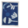 Cyanotype wall decor
