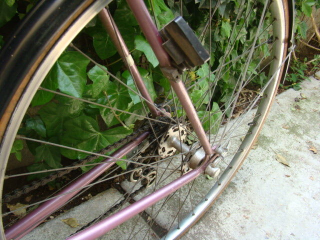 Vintage Eddy Merckx Bike Race