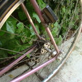 Vintage Eddy Merckx Bike Race