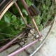 Vintage Eddy Merckx Bike Race