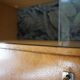 Secretaire 60´s