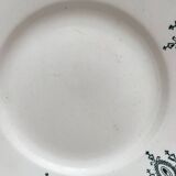 6 mismatched Saint Amand ironstone flat plates