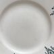 6 assiettes plates terre de fer dépareillées Saint Amand