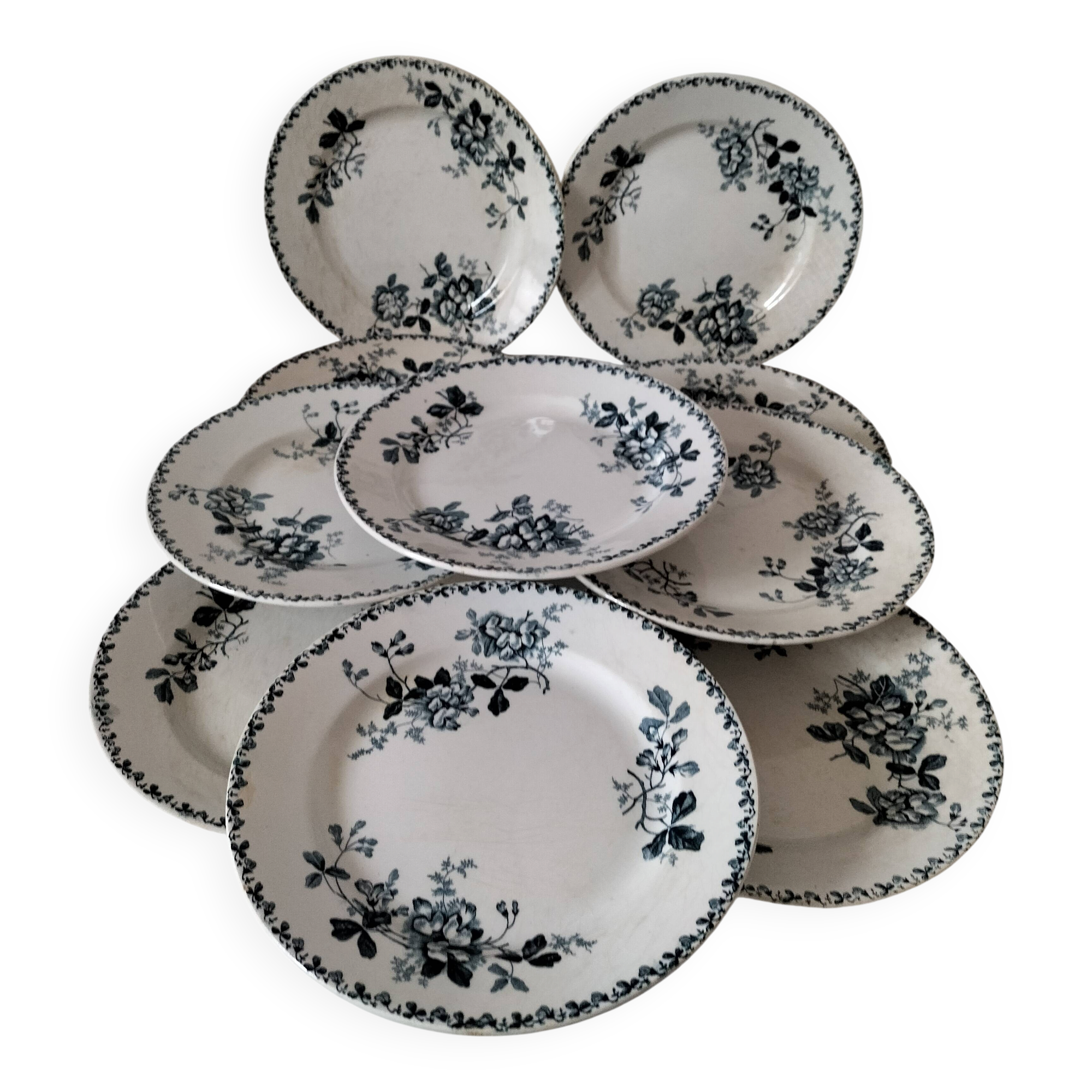 Set of 10 ironstone plates Moulin des Loups Acacia