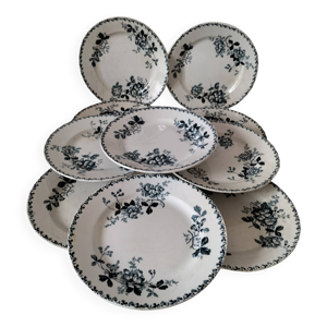 Ensemble 10 assiettes - acacia