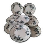 Set of 10 ironstone plates Moulin des Loups Acacia