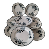 Set of 10 ironstone plates Moulin des Loups Acacia