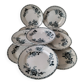 Set of 10 ironstone plates Moulin des Loups Acacia